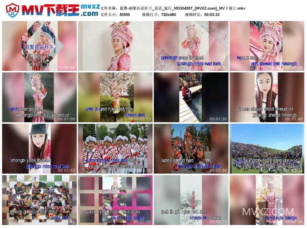 蓝翼-相聚在花杆下_苗语_流行_MD304557